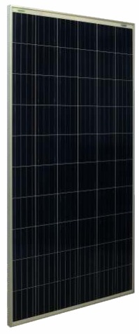 Waaree Energies undefined WS-270